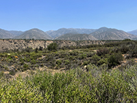 View looking north across Wilderness Gardens Preserve valley toward the high peaks of Agua Tibia Mountain.